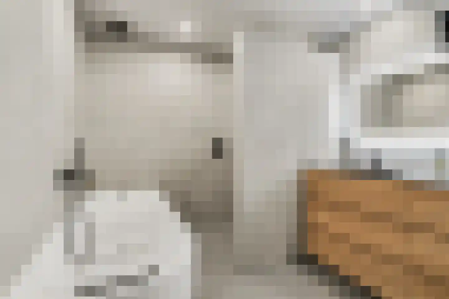 Burgemeester Magneestraat 8 Luyksgestel thumbnail 31