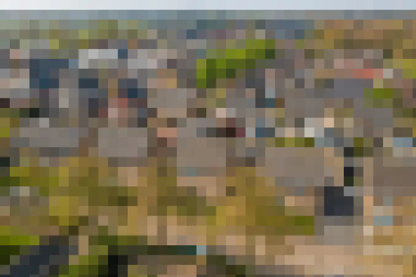 Burgemeester Magneestraat 8 Luyksgestel thumbnail 51