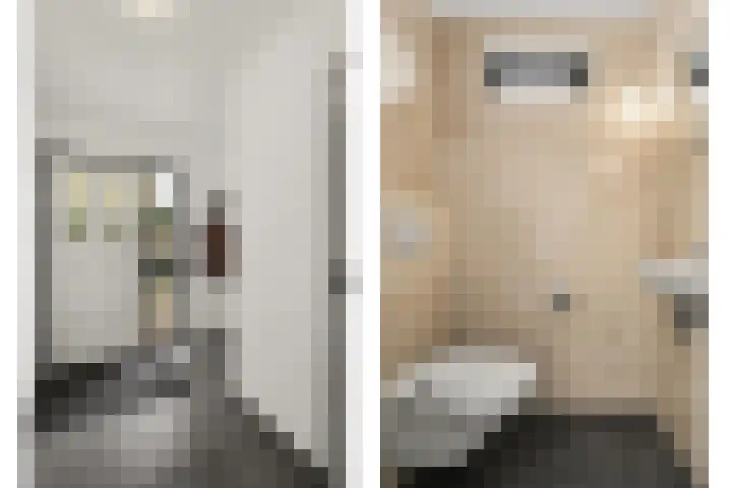 Burgemeester Magneestraat 8 Luyksgestel thumbnail 7