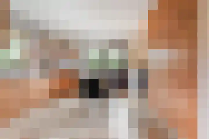 Burgemeester Mallenslaan 17 Kaatsheuvel thumbnail 14