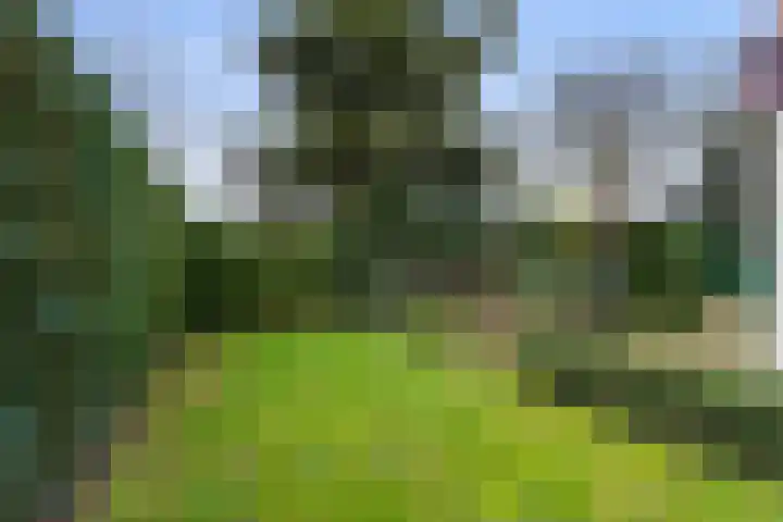 Burgemeester Mallenslaan 17 Kaatsheuvel thumbnail 31