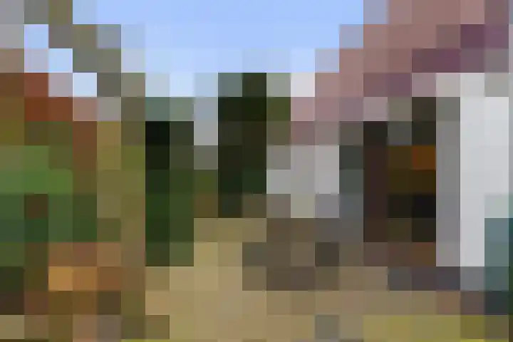 Burgemeester Mallenslaan 17 Kaatsheuvel thumbnail 32