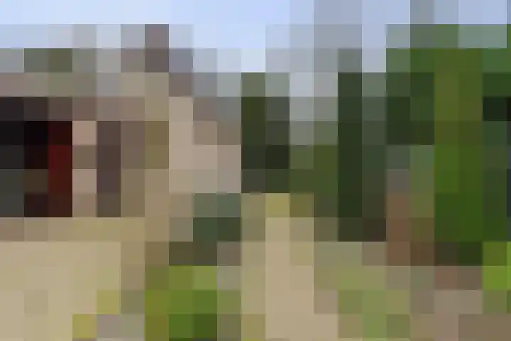 Burgemeester Mallenslaan 17 Kaatsheuvel thumbnail 37