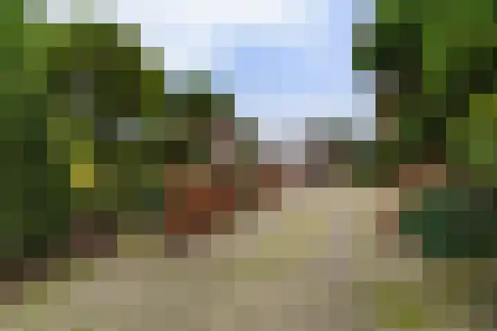 Burgemeester Mallenslaan 17 Kaatsheuvel thumbnail 43