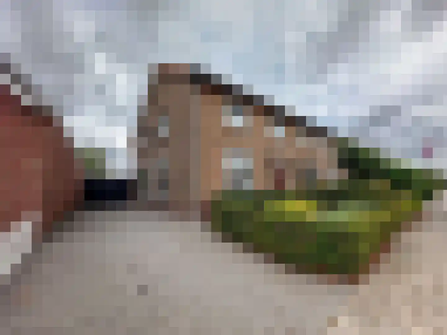 Burgemeester Manderslaan 1 Zundert thumbnail 7