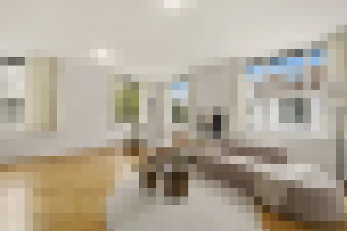 Burgemeester Marijnenlaan 102 Den Haag thumbnail 11