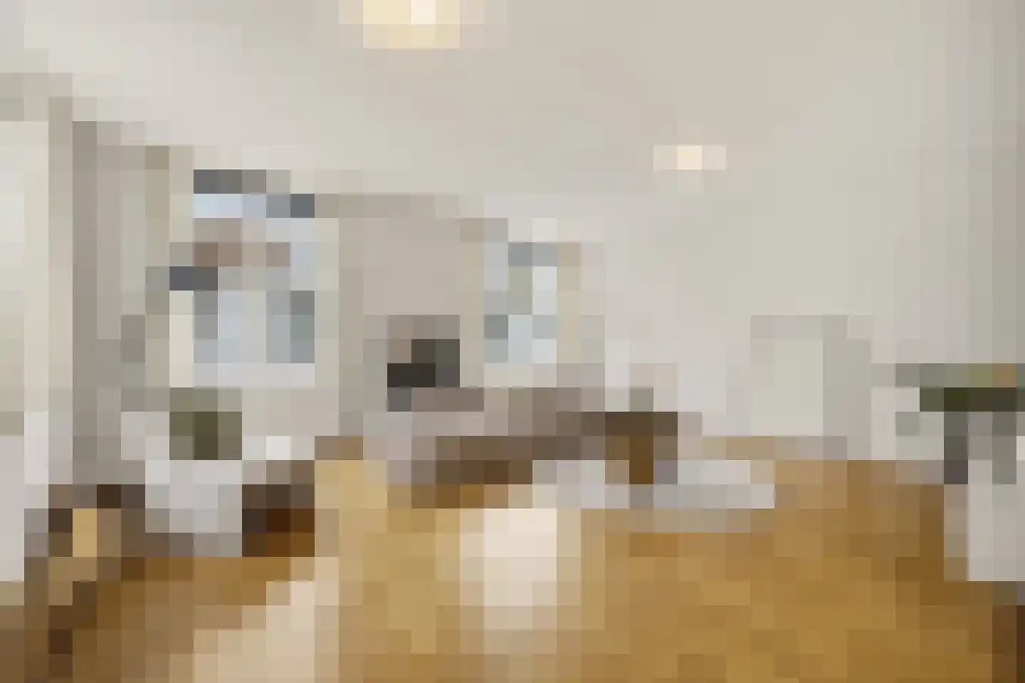 Burgemeester Marijnenlaan 102 Den Haag thumbnail 9