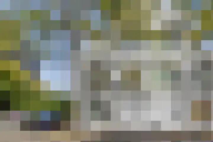 Burgemeester Marijnenlaan 92 Den Haag thumbnail 5