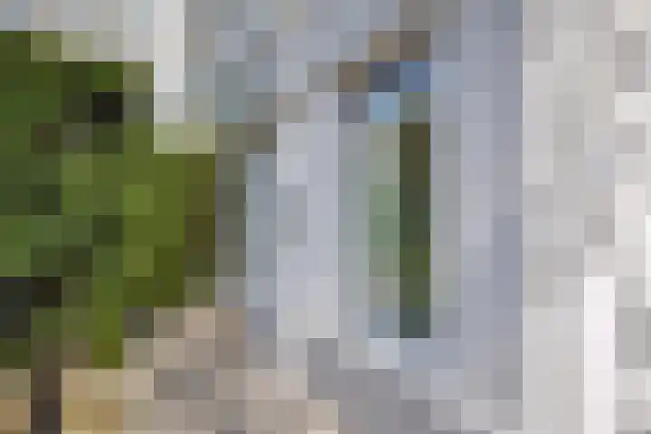 Burgemeester Marijnenlaan 92 Den Haag thumbnail 6