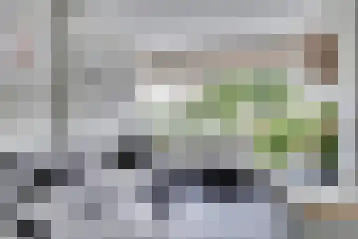 Burgemeester Martenslaan 11 Leersum thumbnail 10