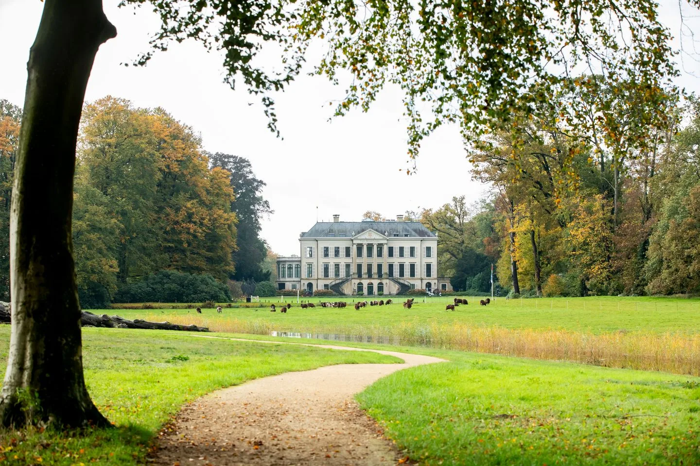 Burgemeester Martenslaan 51 Leersum thumbnail 48