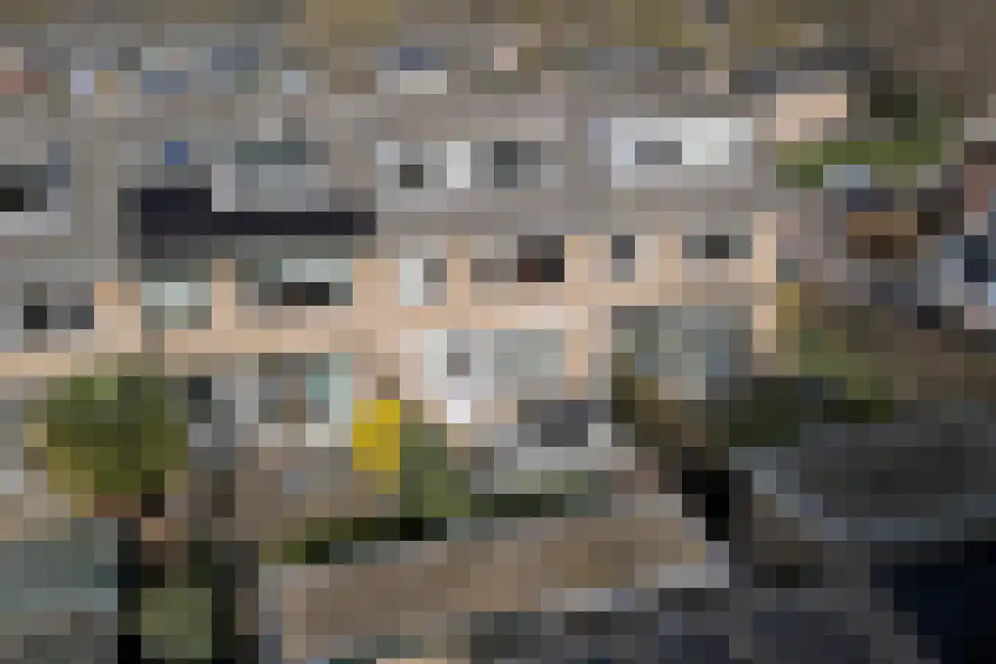 Burgemeester Martenslaan 52 Leersum thumbnail 39