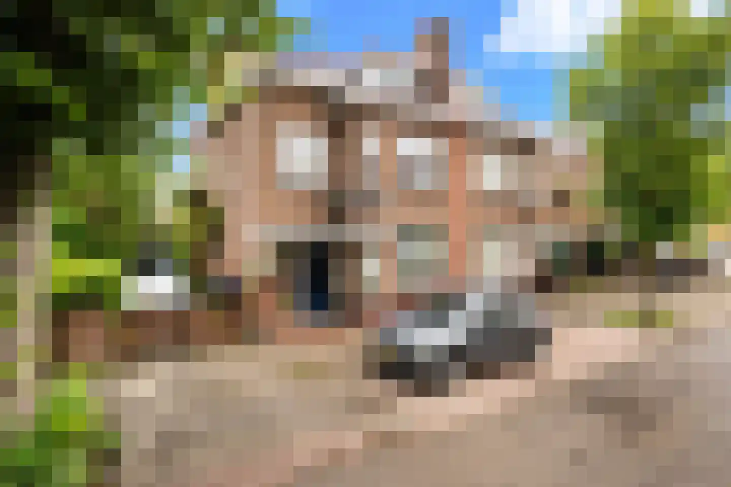 Burgemeester Martensstraat 6 a Gouda thumbnail 25
