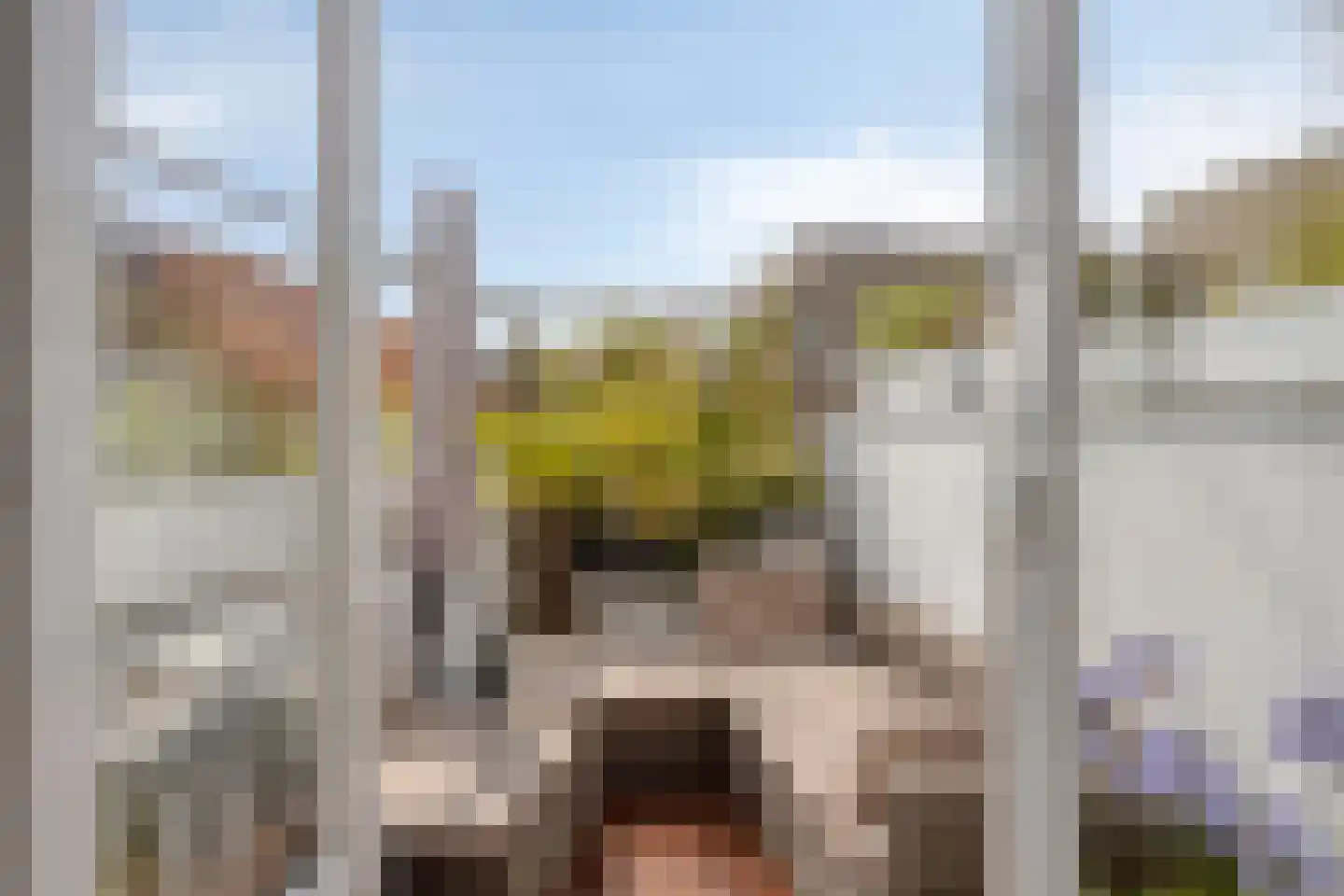 Burgemeester Mathonstraat 2 Bergen op Zoom thumbnail 19