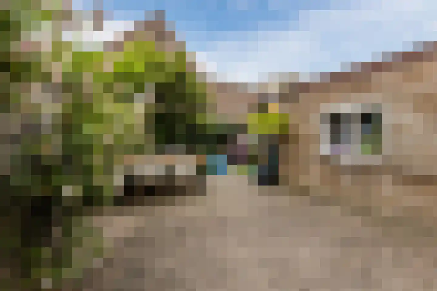 Burgemeester Mathonstraat 8 Bergen op Zoom thumbnail 27