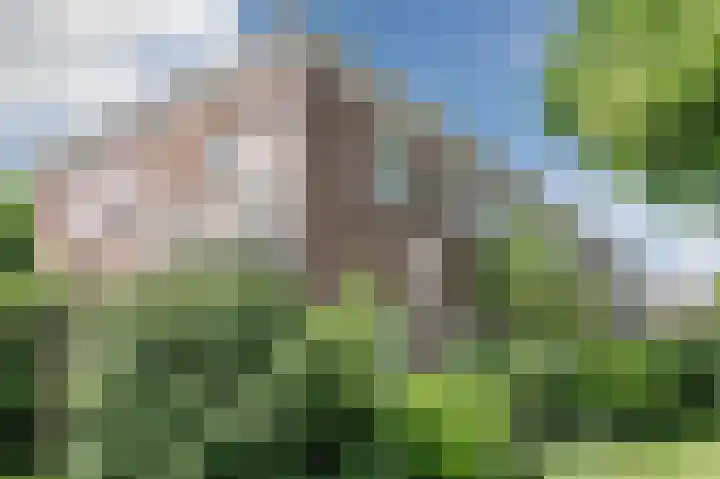 Burgemeester Meijboomstraat 1 Rijnsburg thumbnail 48