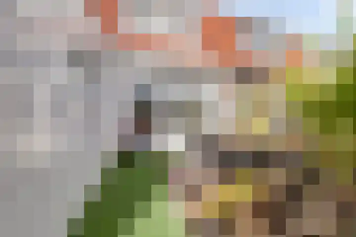 Burgemeester Meijboomstraat 64 Rijnsburg thumbnail 36