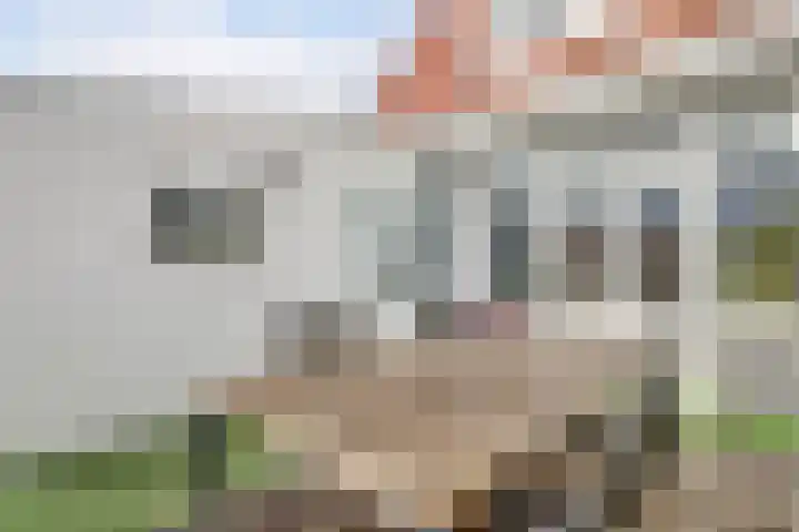 Burgemeester Meijboomstraat 64 Rijnsburg thumbnail 38