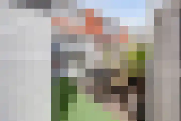 Burgemeester Meijboomstraat 64 Rijnsburg thumbnail 6