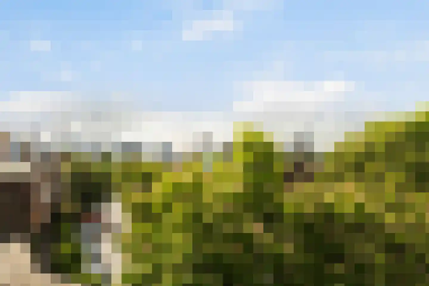 Burgemeester Meineszlaan 103 B Rotterdam thumbnail 46