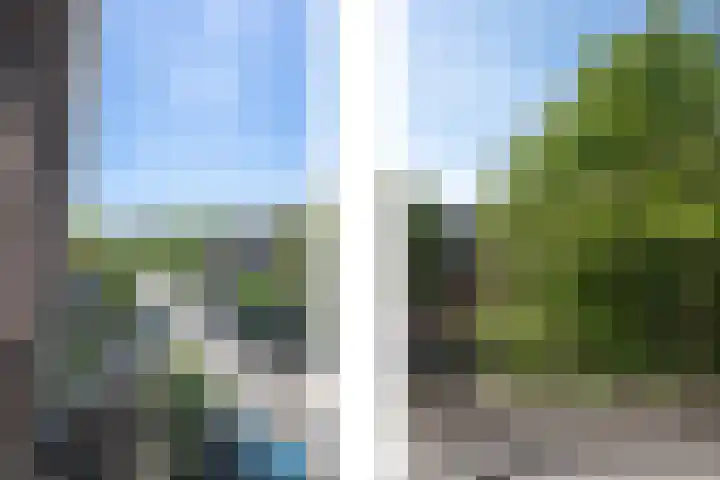 Burgemeester Meineszlaan 21 B Rotterdam thumbnail 34