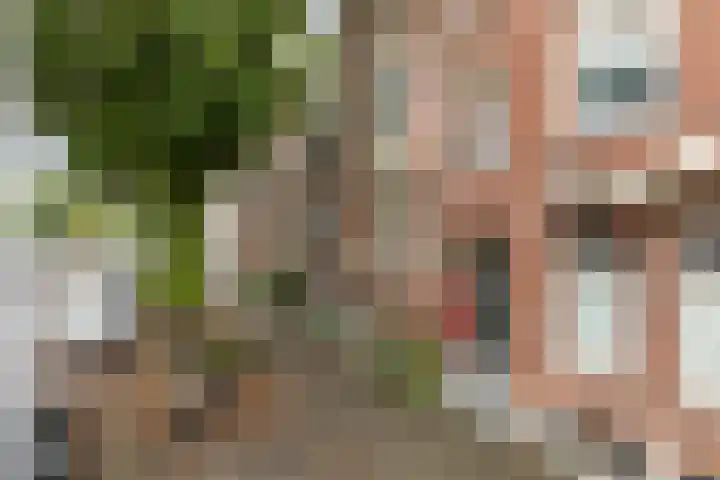 Burgemeester Meineszlaan 22 B Rotterdam thumbnail 5
