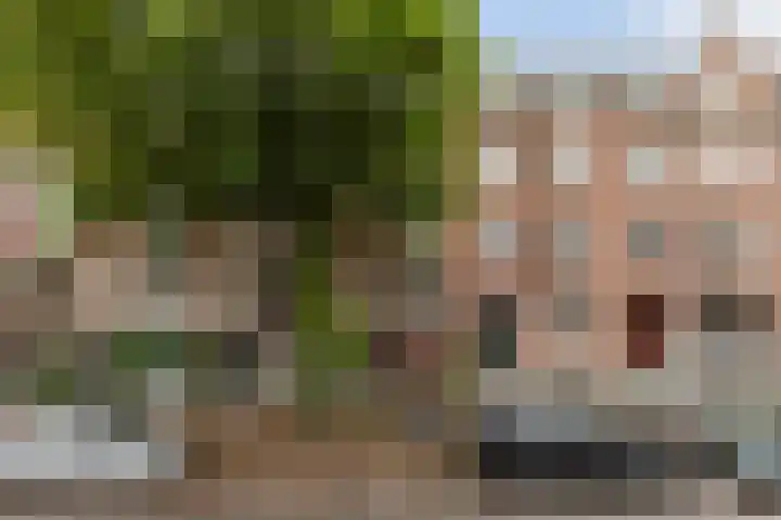 Burgemeester Meineszlaan 22 B Rotterdam thumbnail 63