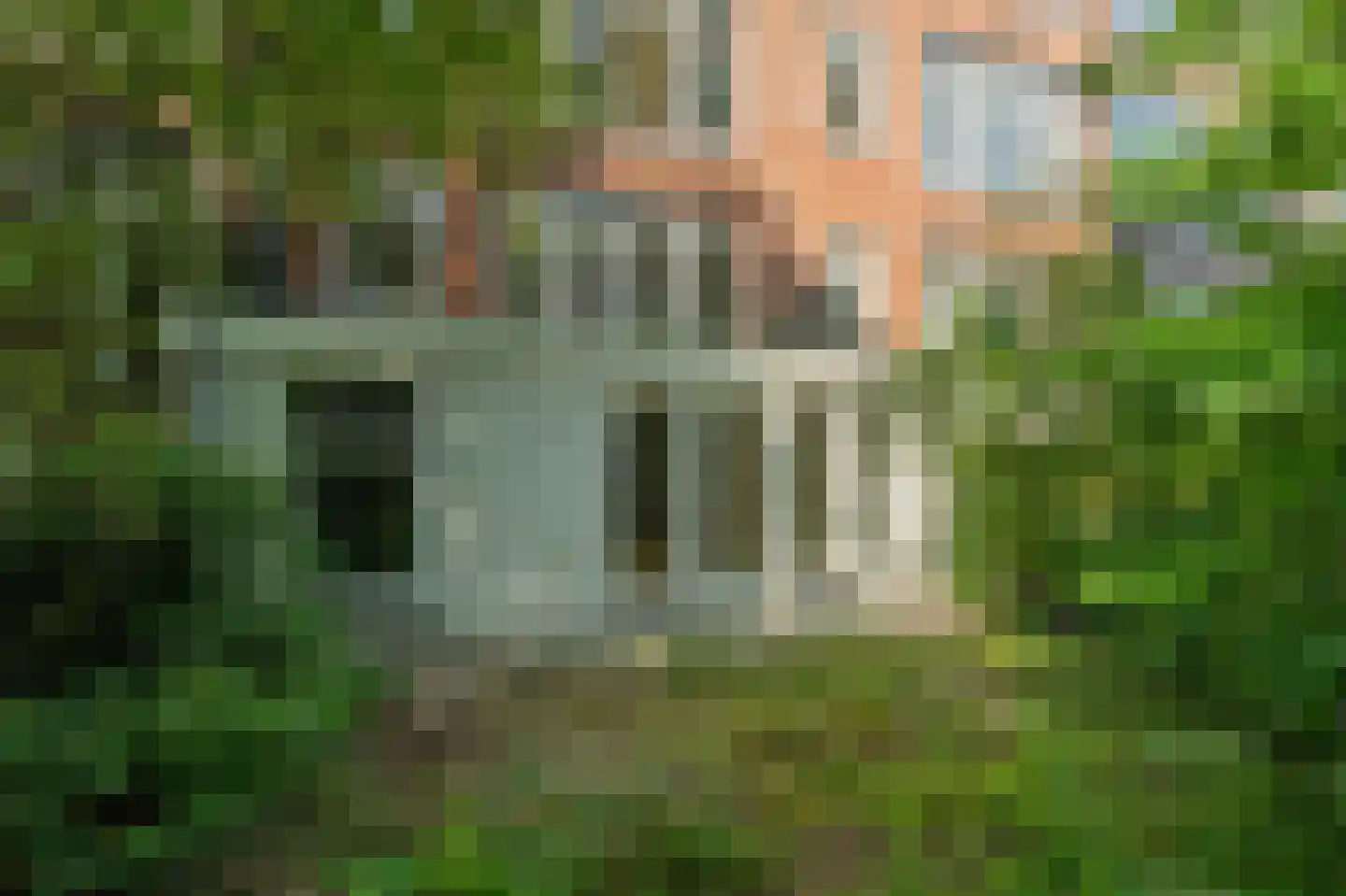 Burgemeester Meineszlaan 32 A 01 Rotterdam thumbnail 5