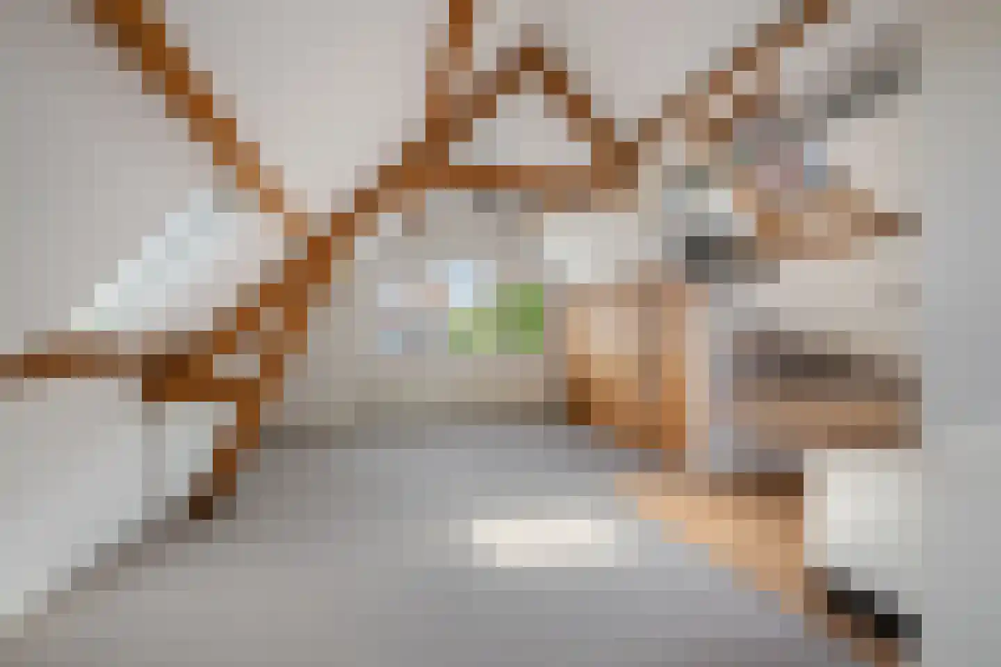 Burgemeester Meineszlaan 40 A 02 Rotterdam thumbnail 20