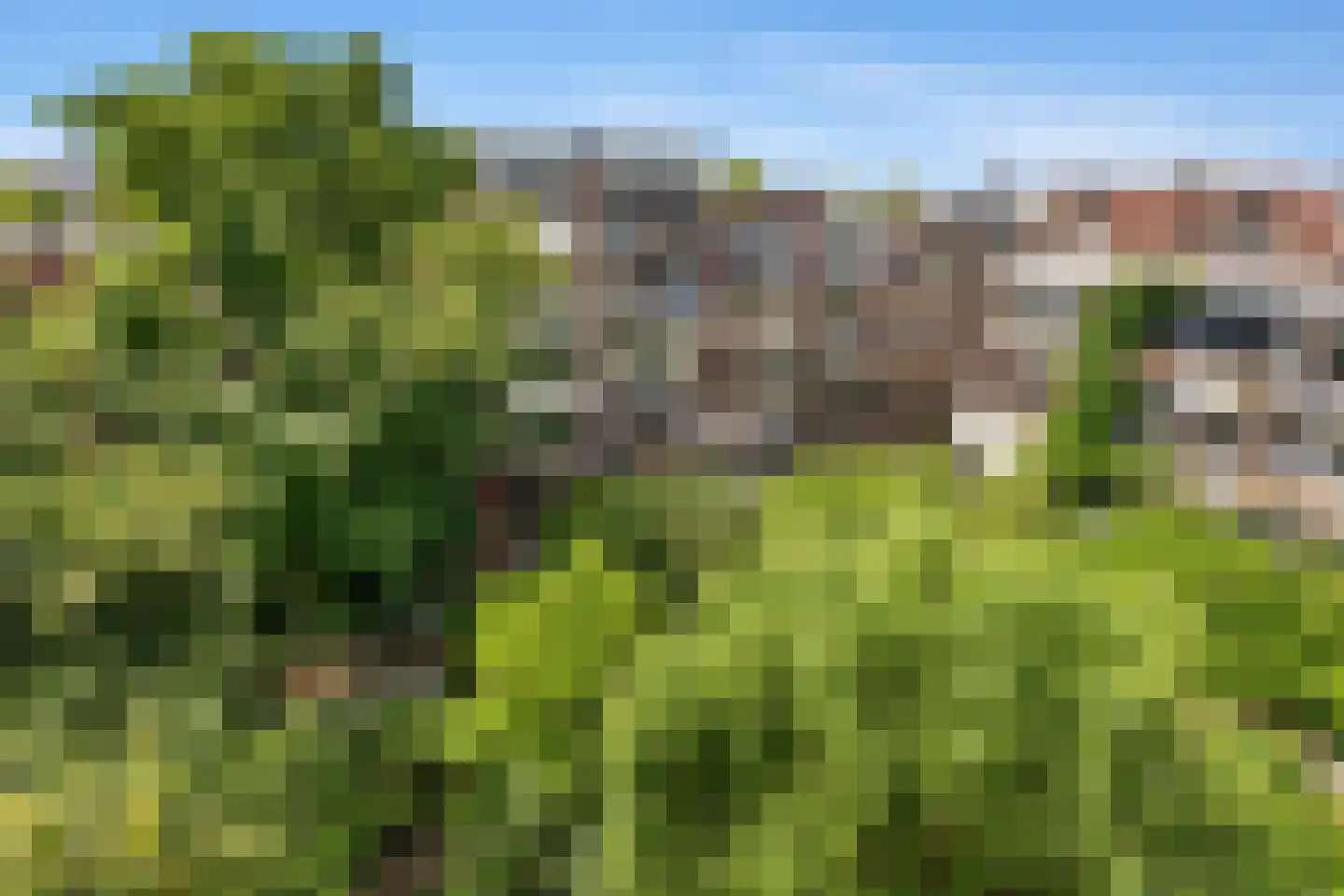 Burgemeester Meineszlaan 40 A 02 Rotterdam thumbnail 30