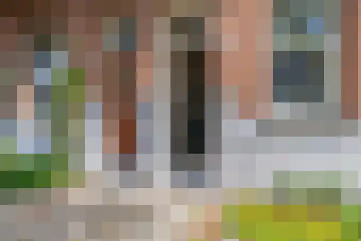 Burgemeester Meineszlaan 53 B Rotterdam thumbnail 7