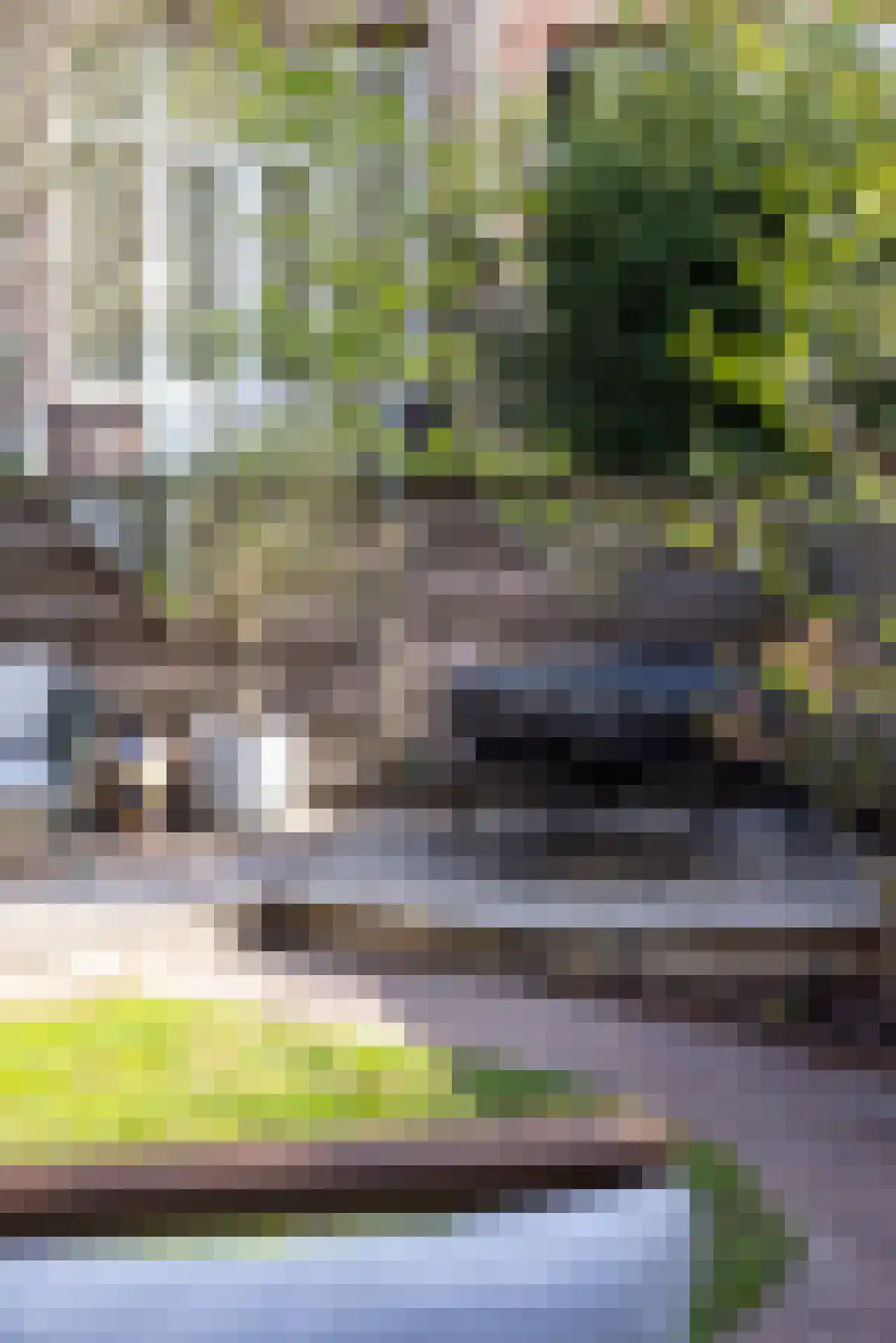 Burgemeester Meineszlaan 63 A Rotterdam thumbnail 41