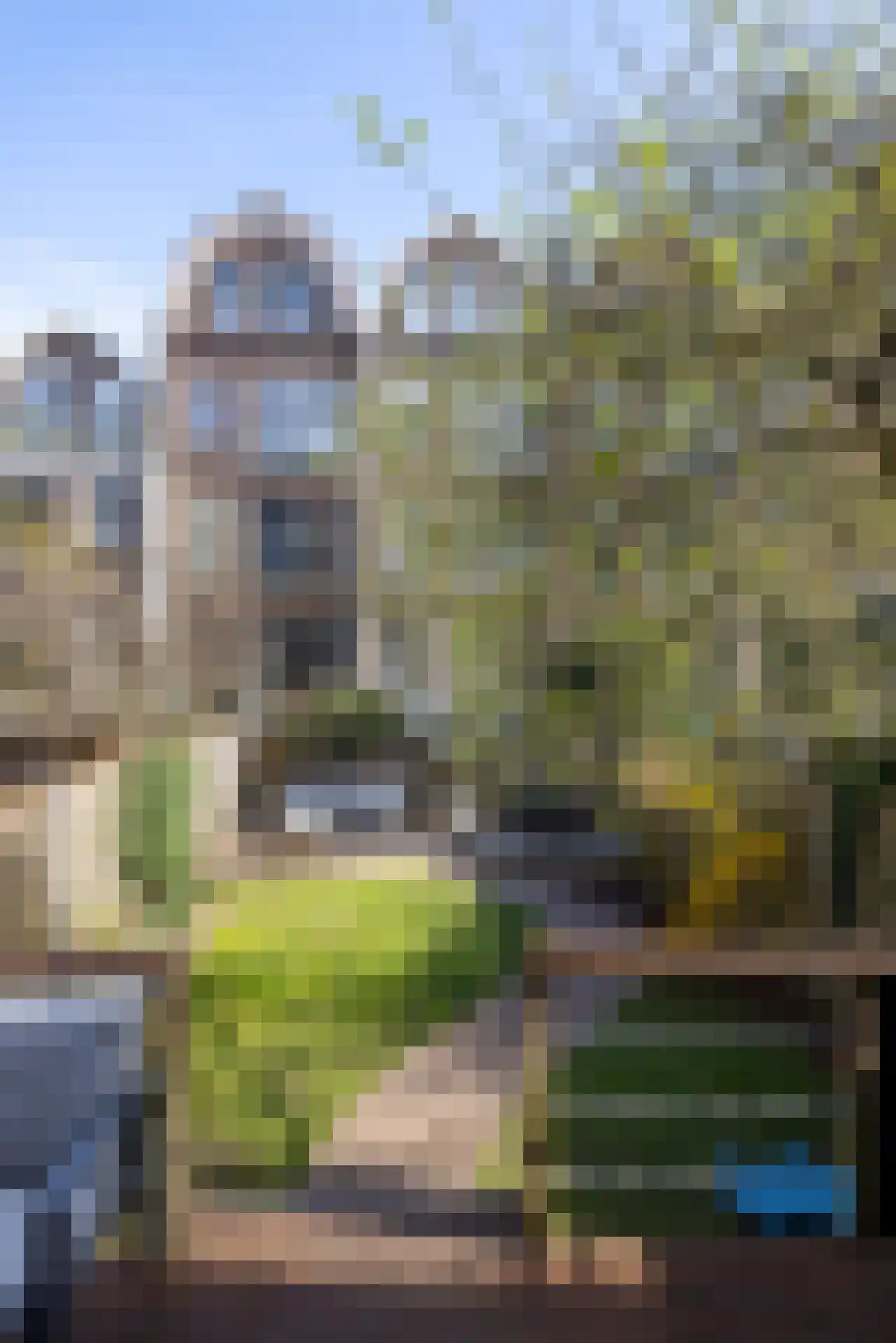 Burgemeester Meineszlaan 63 B Rotterdam thumbnail 39