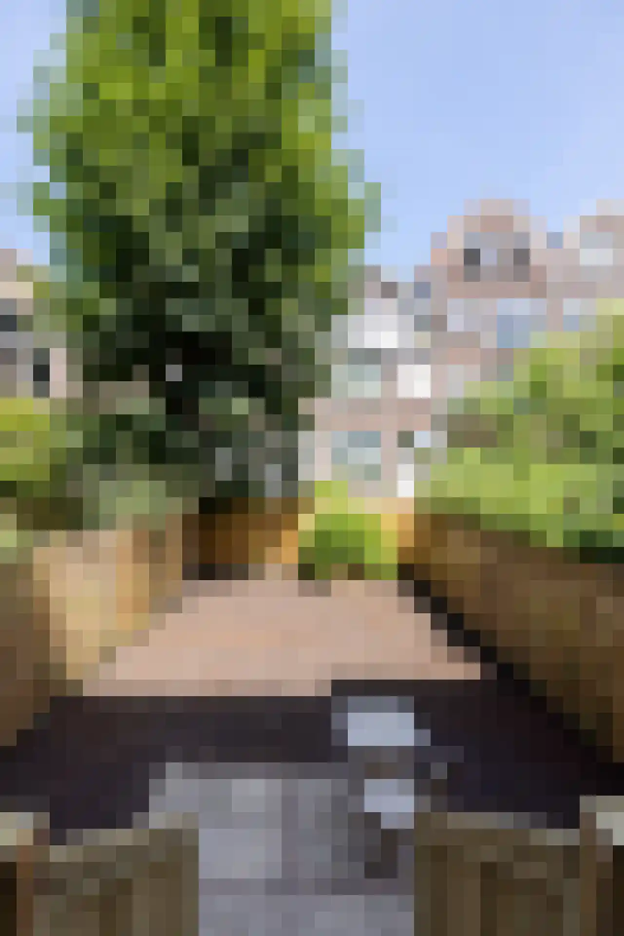 Burgemeester Meineszlaan 67 B Rotterdam thumbnail 33