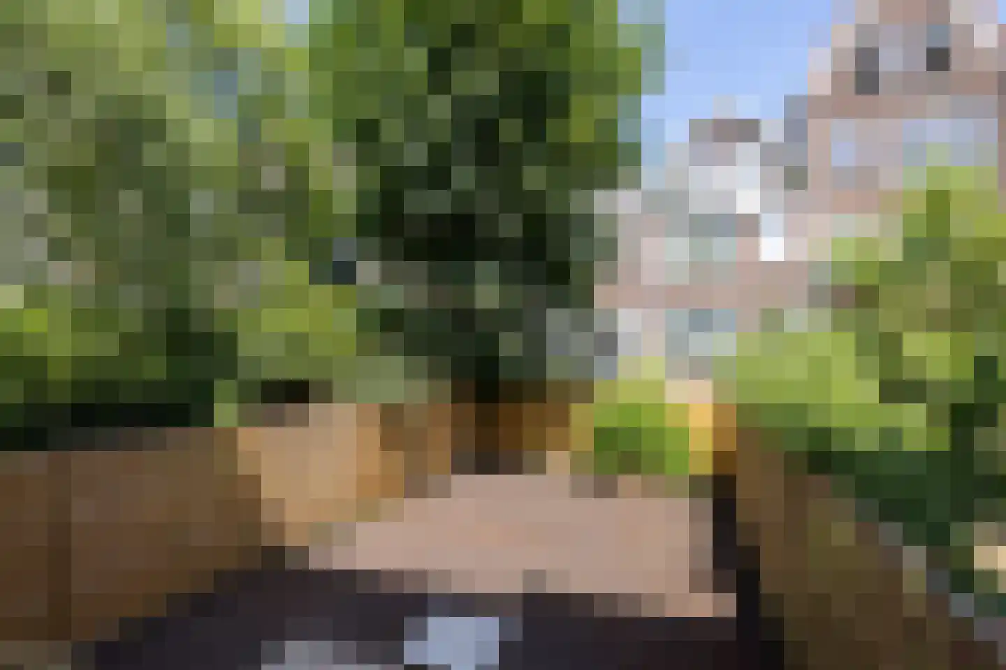Burgemeester Meineszlaan 67 B Rotterdam thumbnail 34