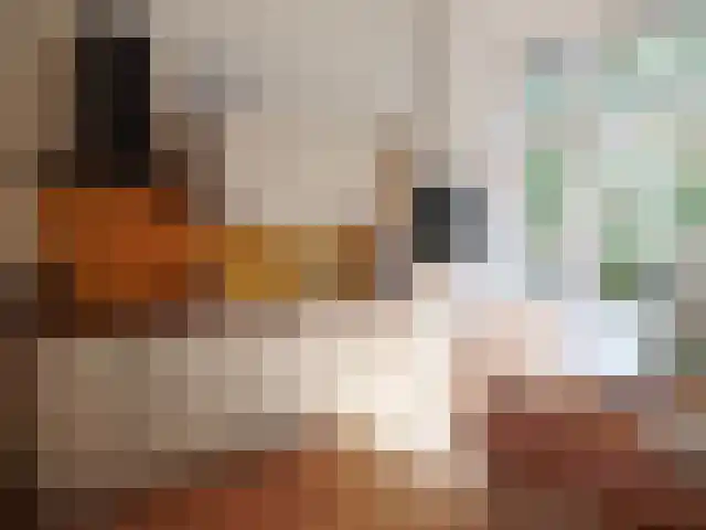 Burgemeester Meineszlaan 74 B Rotterdam thumbnail 5