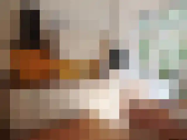 Burgemeester Meineszlaan 74 B Rotterdam thumbnail 5