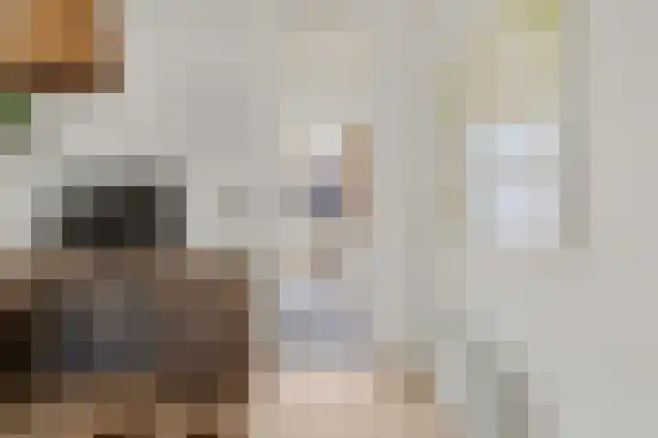 Burgemeester Meineszlaan 77 B 02 Rotterdam thumbnail 24