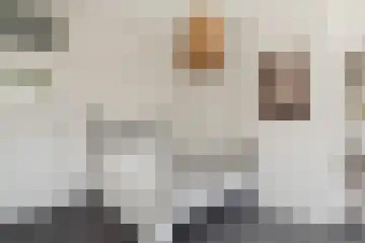 Burgemeester Meineszlaan 77 B 02 Rotterdam thumbnail 25