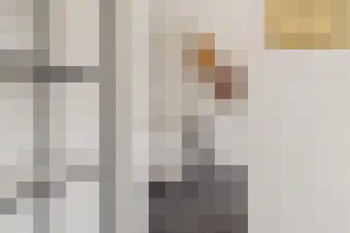 Burgemeester Meineszlaan 77 B 02 Rotterdam thumbnail 28