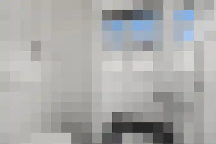 Burgemeester Meineszlaan 77 B 02 Rotterdam thumbnail 34