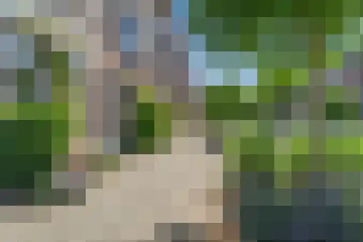 Burgemeester Meineszlaan 77 B 02 Rotterdam thumbnail 4