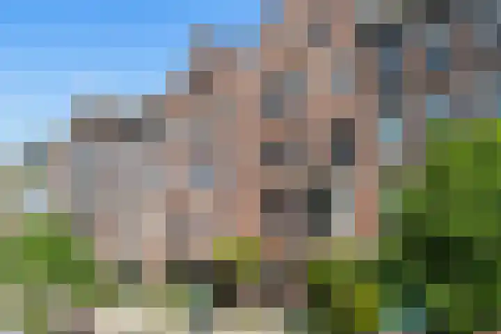 Burgemeester Meineszlaan 77 B 02 Rotterdam thumbnail 42