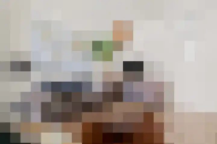 Burgemeester Meineszlaan 77 B 02 Rotterdam thumbnail 6