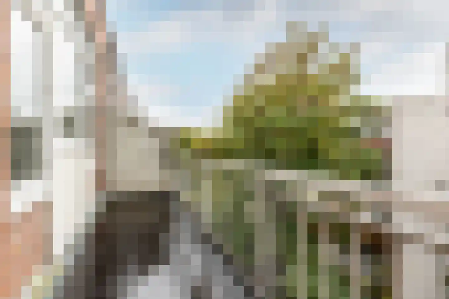 Burgemeester Meineszlaan 78 A Rotterdam thumbnail 19