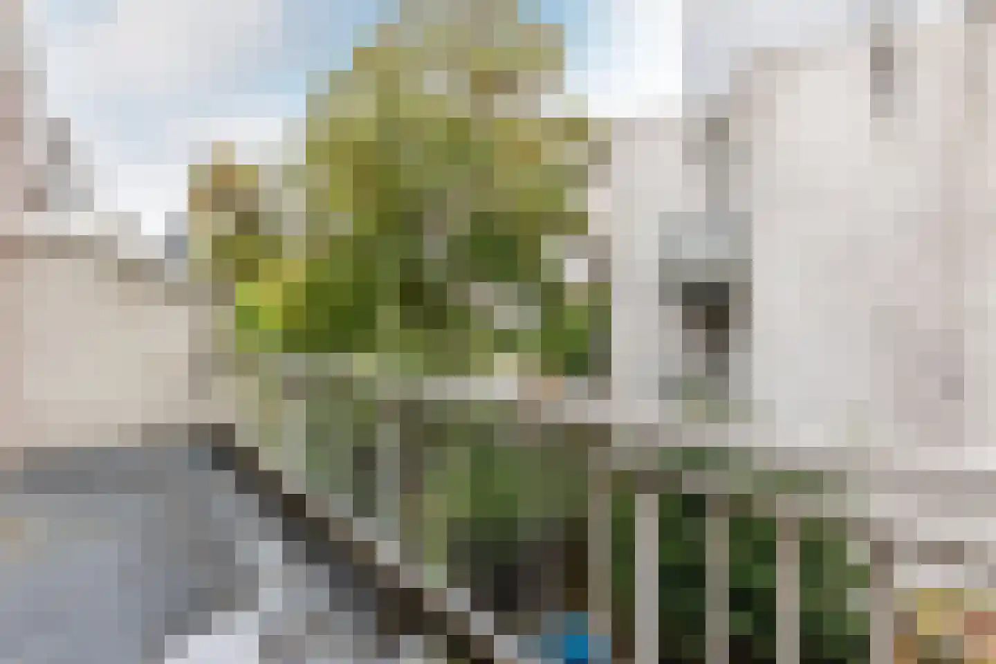 Burgemeester Meineszlaan 78 B Rotterdam thumbnail 10