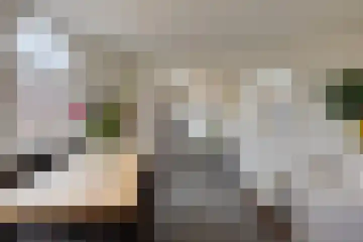 Burgemeester Meineszlaan 86 B 02 Rotterdam thumbnail 5
