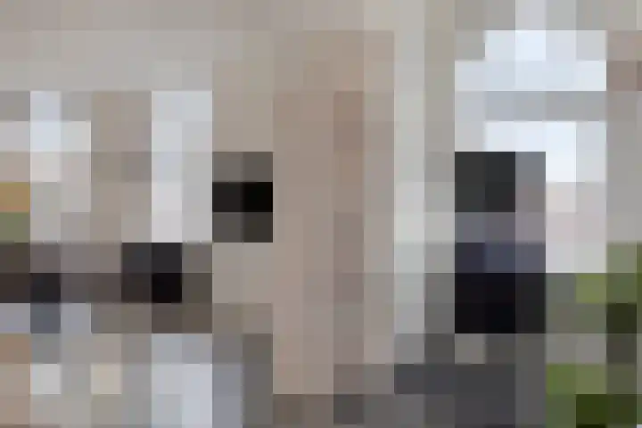 Burgemeester Meineszlaan 86 B 02 Rotterdam thumbnail 6