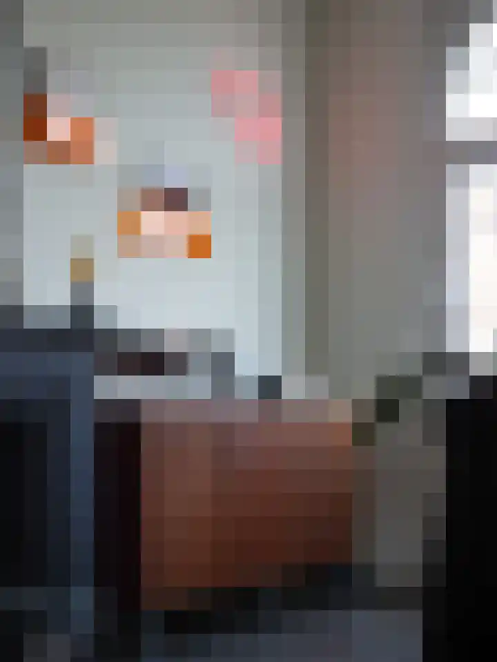 Burgemeester Meineszlaan 86 B 02 Rotterdam thumbnail 8