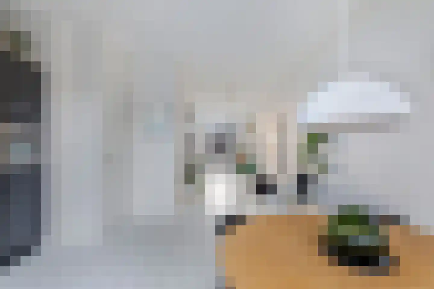 Burgemeester Meineszlaan 91 B Rotterdam thumbnail 20